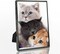 5x7 Picture Frame Metal, Thin Edge Photo Frames for Tabletop Display